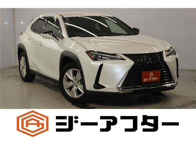 LEXUS UX250h