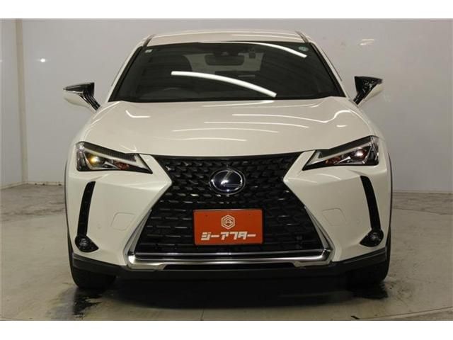 LEXUS UX250h