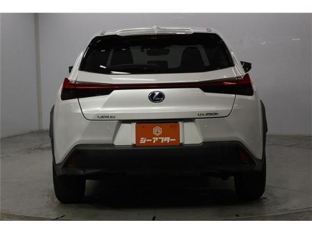LEXUS UX250h