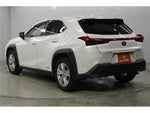 LEXUS UX250h