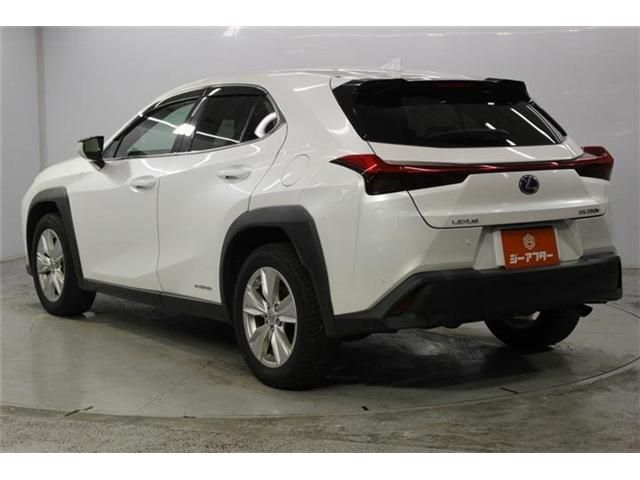 LEXUS UX250h