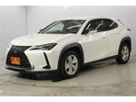 LEXUS UX250h