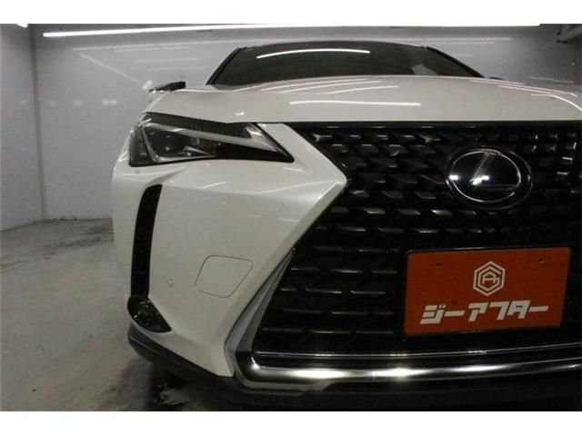 LEXUS UX250h