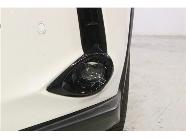 LEXUS UX250h