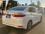GRACE HYBRID