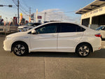 GRACE HYBRID