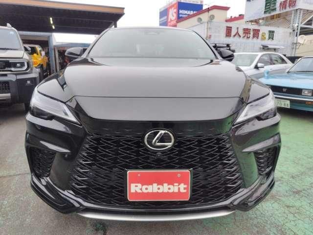 LEXUS RX500h