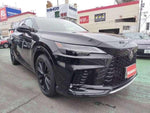 LEXUS RX500h