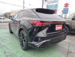 LEXUS RX500h