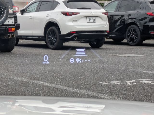 CX-80
