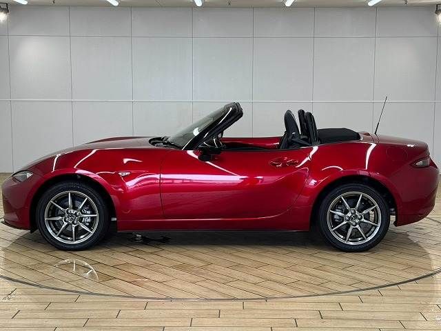 ROADSTER