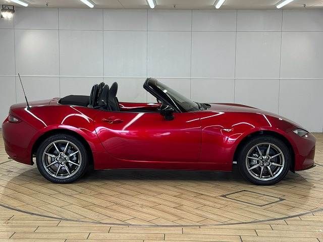 ROADSTER
