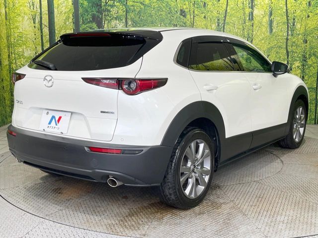 CX-30