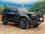 LANDCRUISER 250