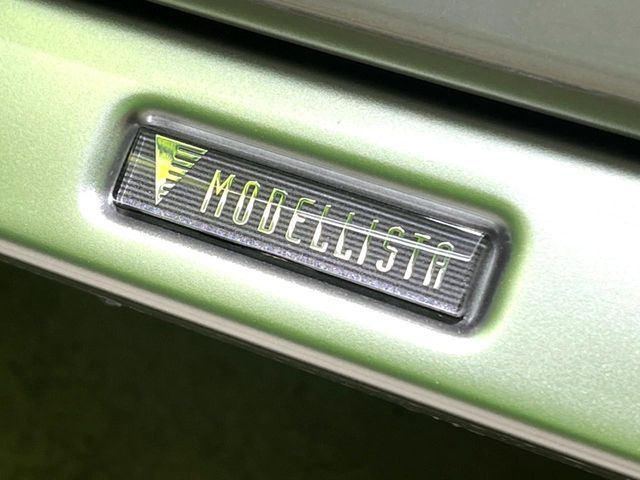 RAIZE HYBRID
