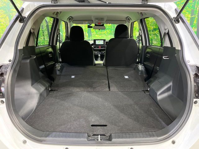 RAIZE