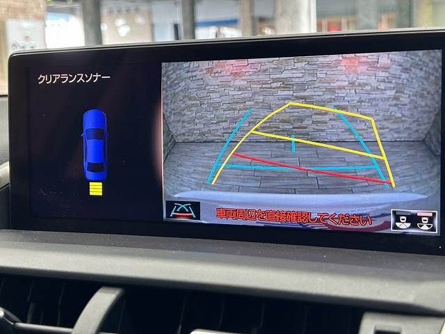 LEXUS NX300h