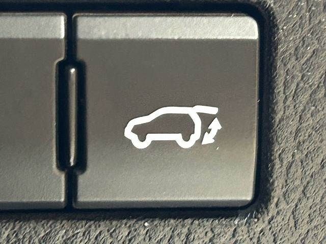 LEXUS NX300h