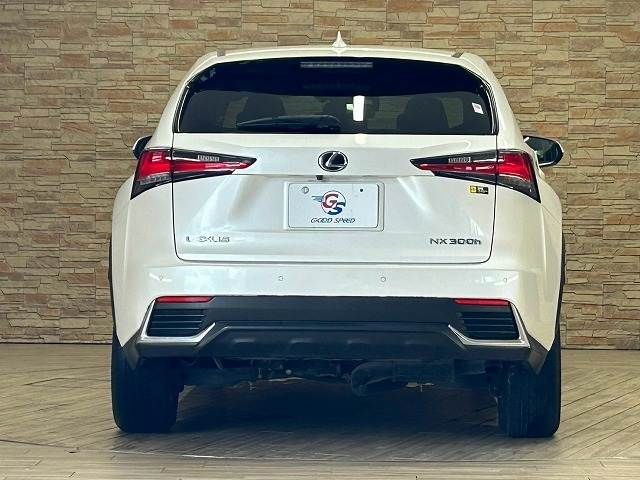 LEXUS NX300h