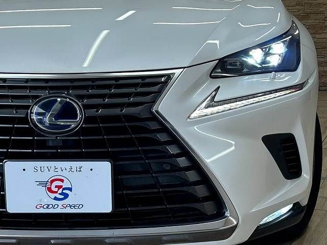 LEXUS NX300h