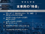 VOLVO V40 CROSS COUNTRY