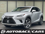 LEXUS NX300h