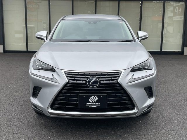 LEXUS NX300h