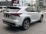 LEXUS NX300h