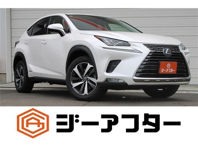 LEXUS NX300h AWD