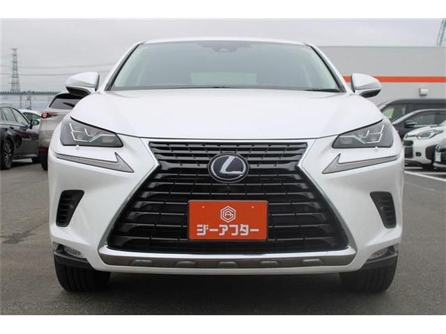 LEXUS NX300h AWD