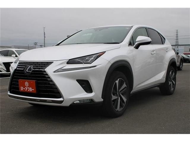 LEXUS NX300h AWD