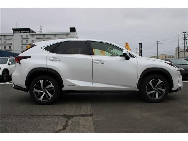 LEXUS NX300h AWD