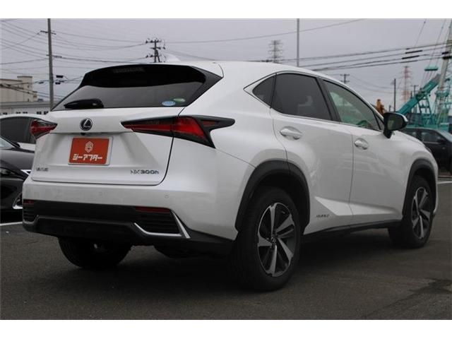 LEXUS NX300h AWD