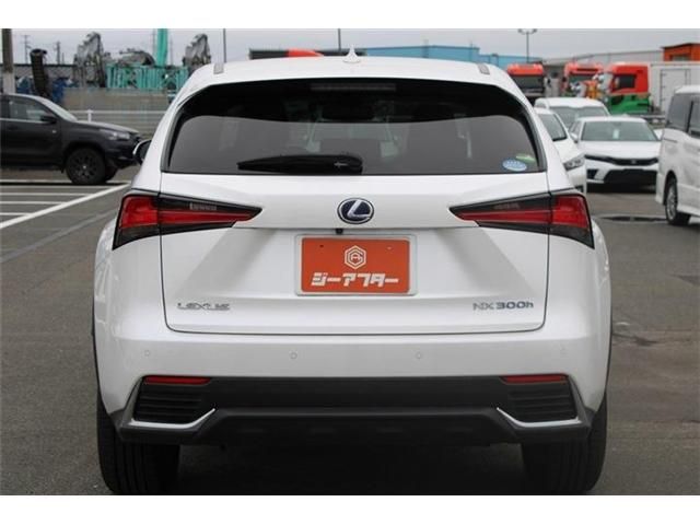 LEXUS NX300h AWD