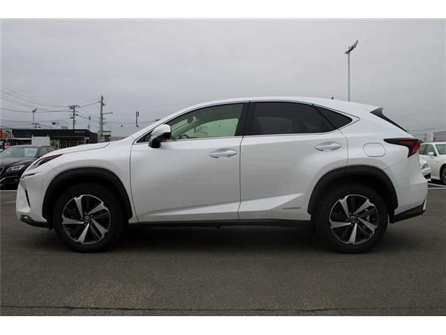 LEXUS NX300h AWD