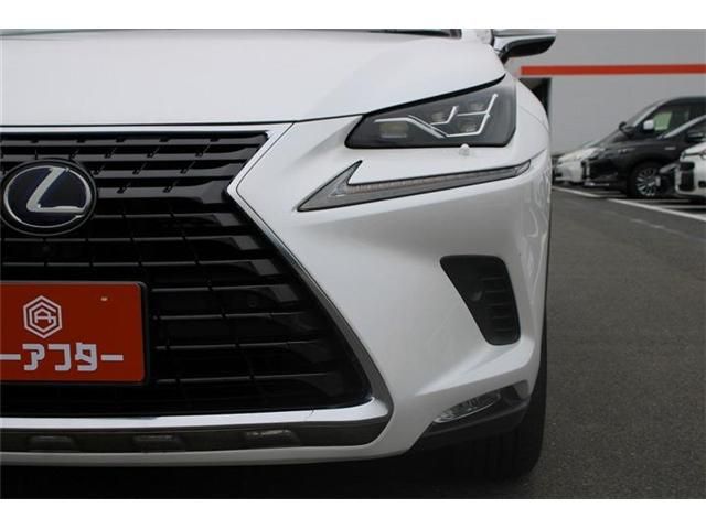 LEXUS NX300h AWD