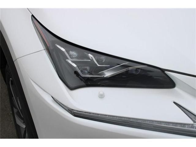 LEXUS NX300h AWD