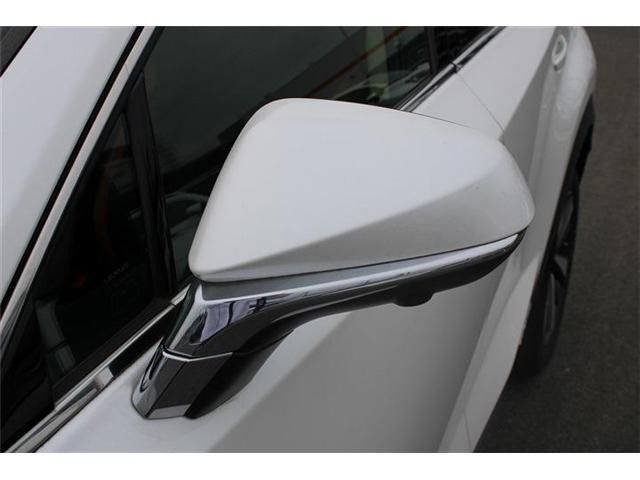 LEXUS NX300h AWD