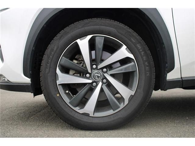 LEXUS NX300h AWD