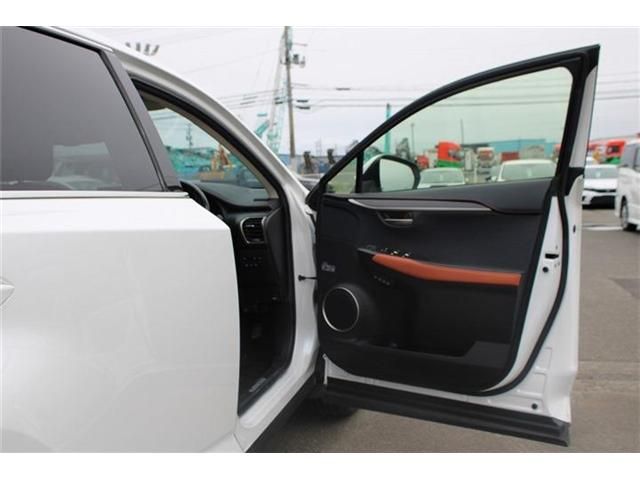 LEXUS NX300h AWD