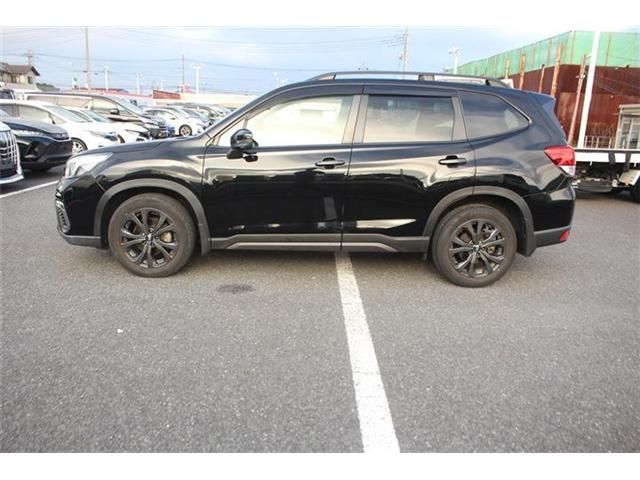 FORESTER