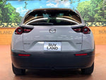 MX-30