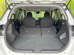 RAIZE HYBRID