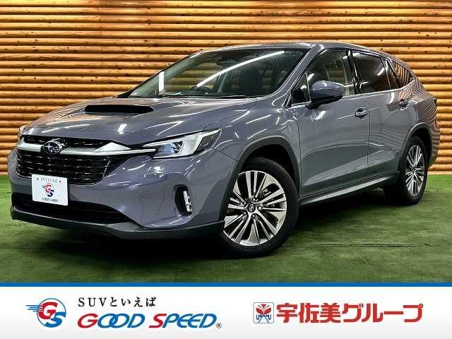 LEVORG LAYBACK