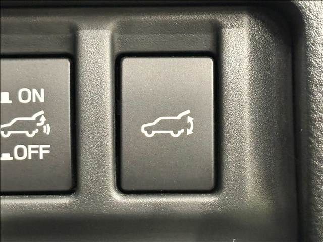 LEVORG LAYBACK