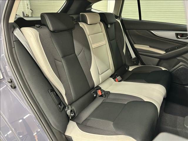 LEVORG LAYBACK