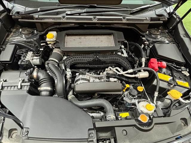 LEVORG LAYBACK