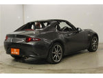 ROADSTER RF