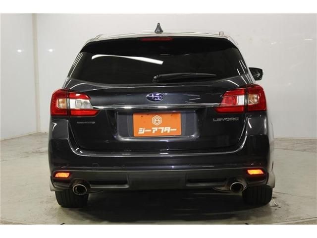 LEVORG