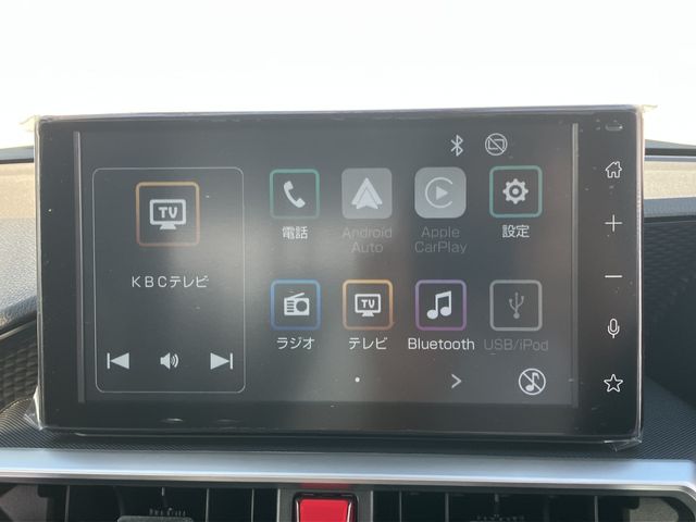 RAIZE HYBRID